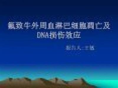 快手极速版如何快速赚钱？教你轻松上手的技巧与策略