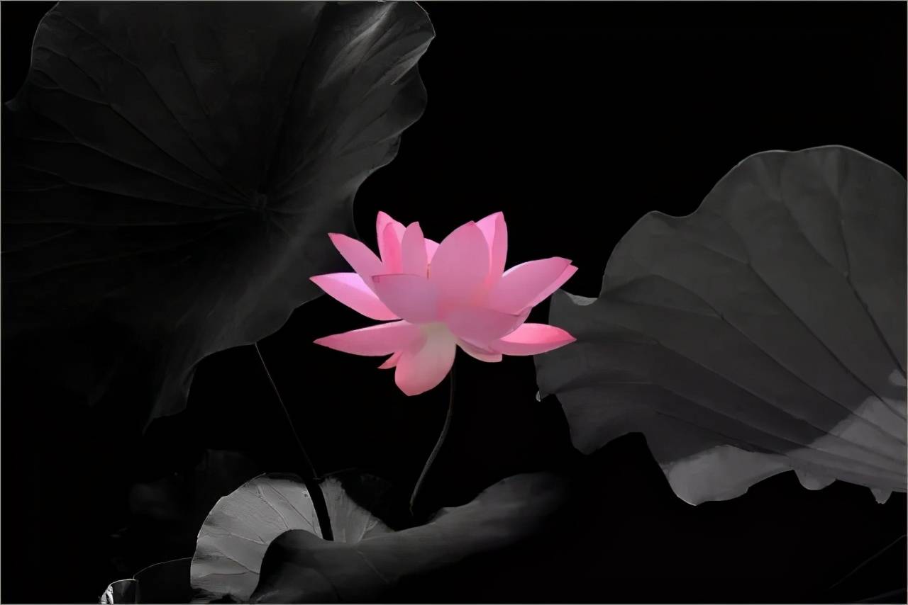 公众号如何推广：掌握这几点，让你的公众号轻松破圈！