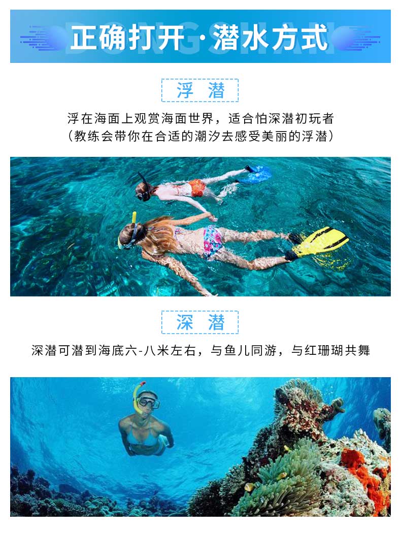 珊瑚岛阅读答案公众号——您的阅读指南，智慧海洋