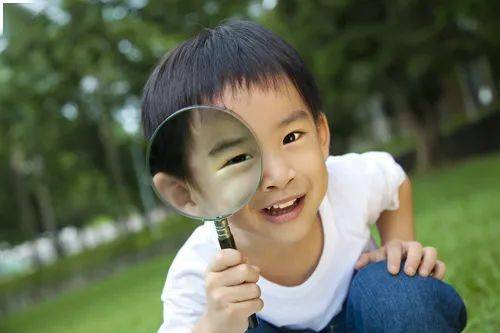 快手怎么登两个号？轻松实现双开的方法解析